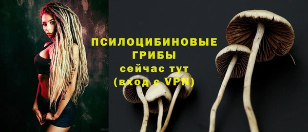 мяу мяу мука Володарск
