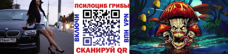 Купить  Строитель  Псилоцибиновые грибы мицелий 